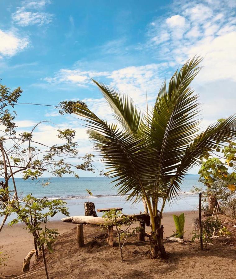 Paraiso Escondido Bahia Solano Εξωτερικό φωτογραφία